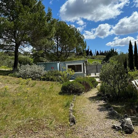 Chambre Tropicale Au Domaine De L'Aven Villeneuve-Minervois ภายนอก รูปภาพ